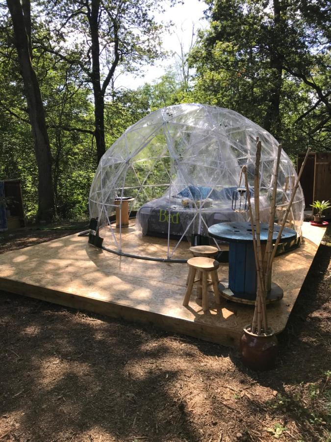 Bulle Etoilee En Nature Landaise Saint-Sever  Exterior photo